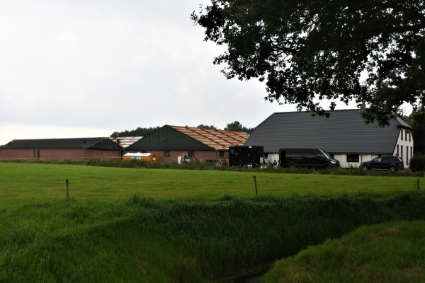 Afbeelding invoegen